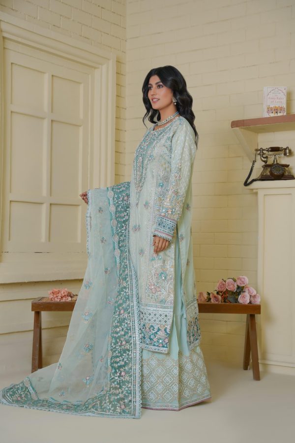 Ferozi Mist Chiffon Stitched Suit - Image 5