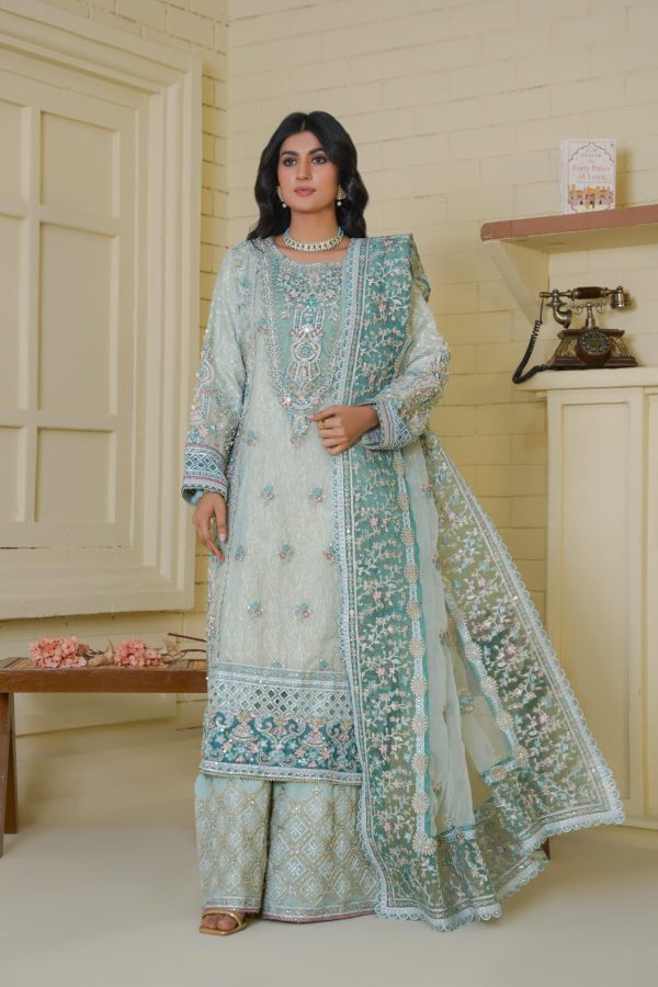 Ferozi Mist Chiffon Stitched Suit