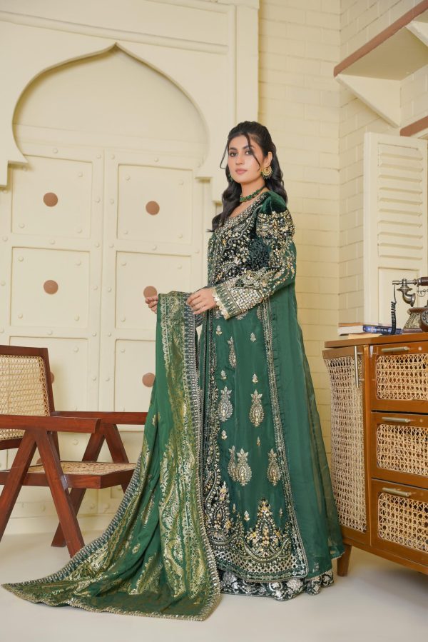 Emerald Green Chiffon Stitched Suit - Image 5