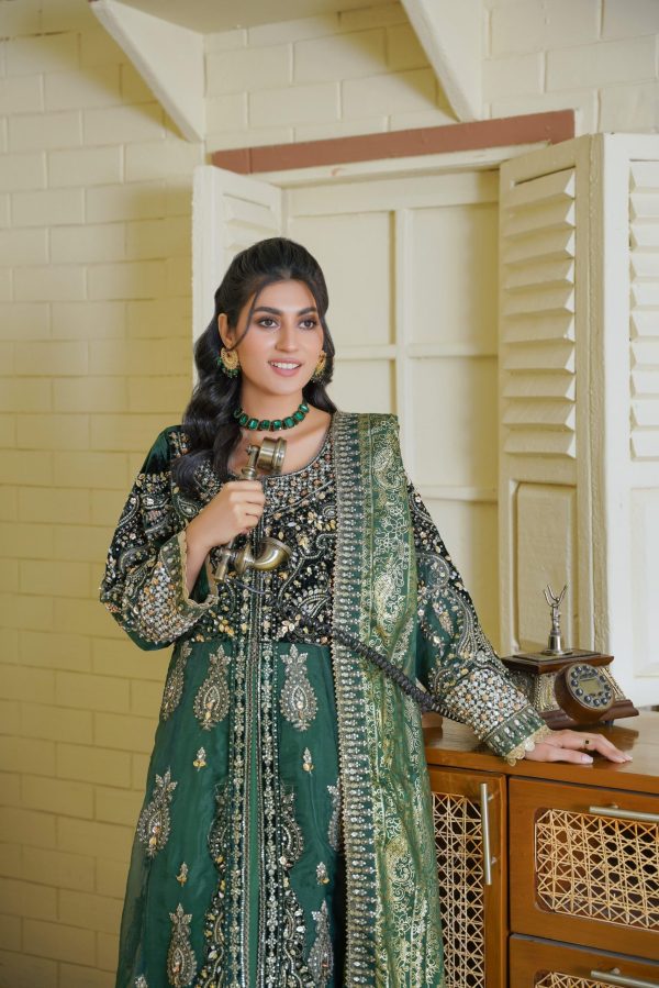 Emerald Green Chiffon Stitched Suit - Image 4