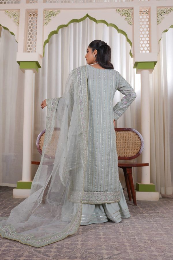 Soft Silver Chiffon Stitched Suit - Image 6