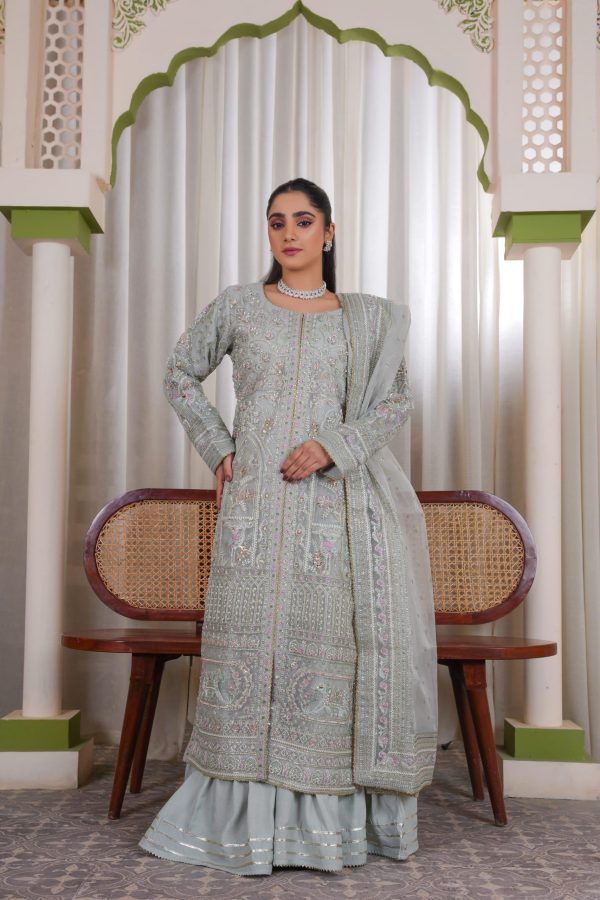 Soft Silver Chiffon Stitched Suit - Image 4