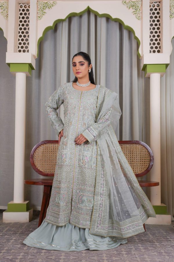 Soft Silver Chiffon Stitched Suit - Image 2