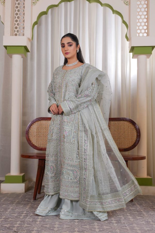 Soft Silver Chiffon Stitched Suit