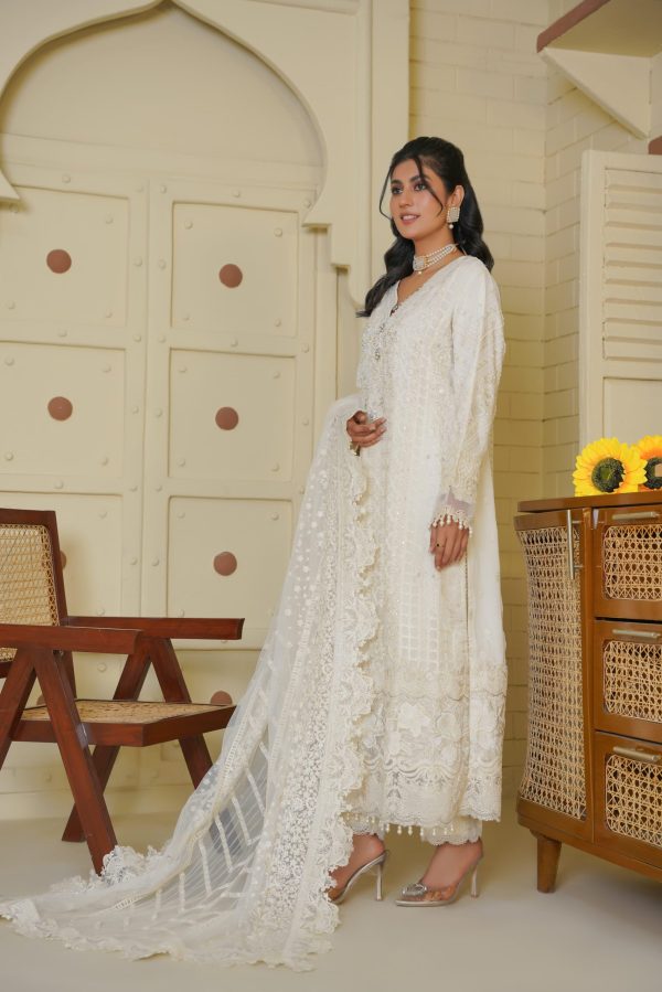 Elegance White Chiffon Embroidered Suit - Image 7