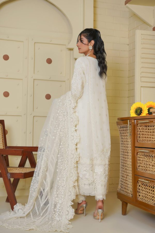 Elegance White Chiffon Embroidered Suit - Image 6