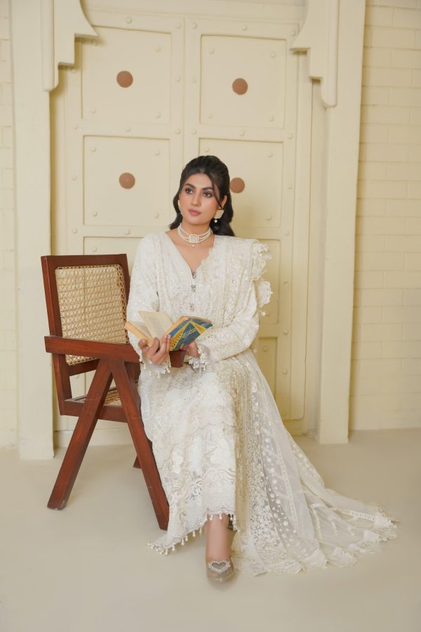 Elegance White Chiffon Embroidered Suit - Image 4