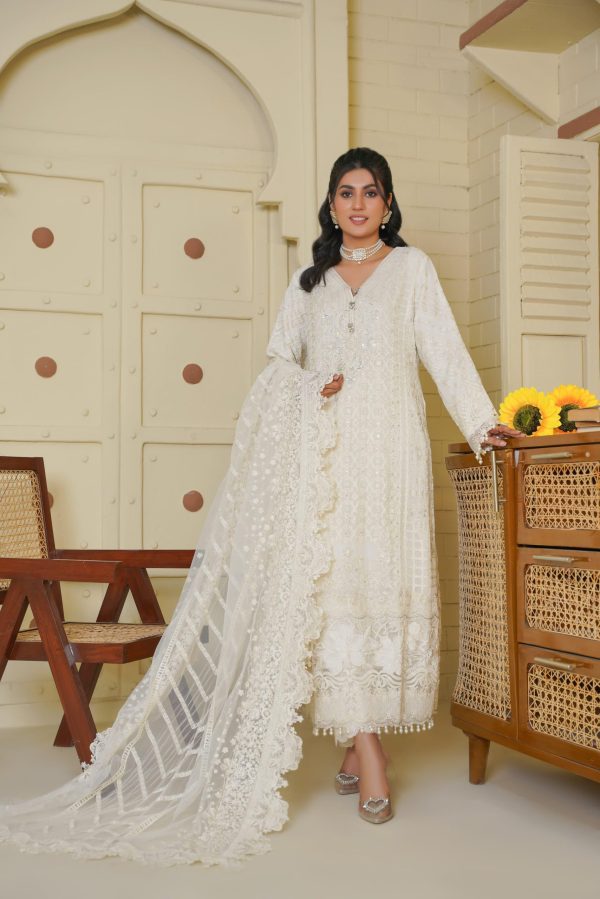 Elegance White Chiffon Embroidered Suit - Image 3