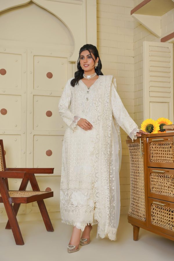 Elegance White Chiffon Embroidered Suit